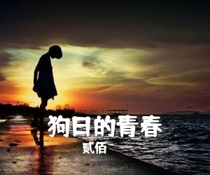 贰佰《狗日的青春》G调吉他谱