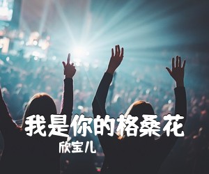 欣宝儿《我是你的格桑花》尤克里里谱