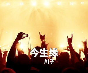 川子《今生缘》G调吉他谱