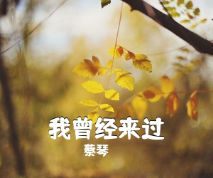 我曾经来过