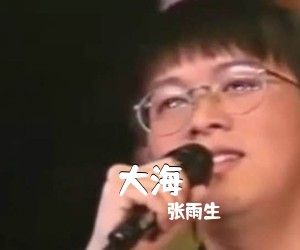 张雨生《大海》G调吉他谱