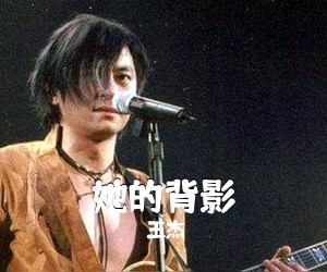 王杰《她的背影》G调吉他谱
